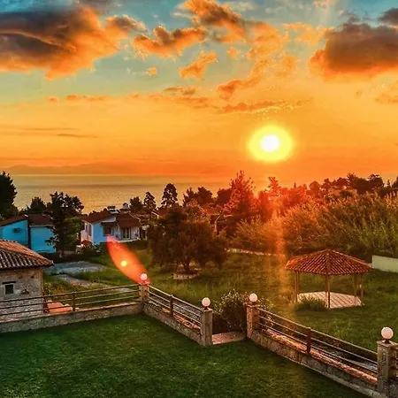 Daphne クリオピギ