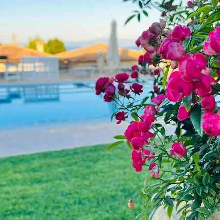 Villa Daphne