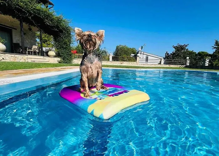 Villa Daphne Kriopigi