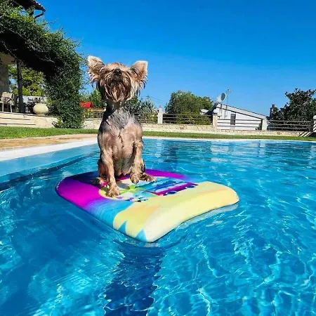 Villa Daphne Kriopigi